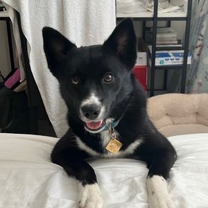 Meet your Posher, Valerie